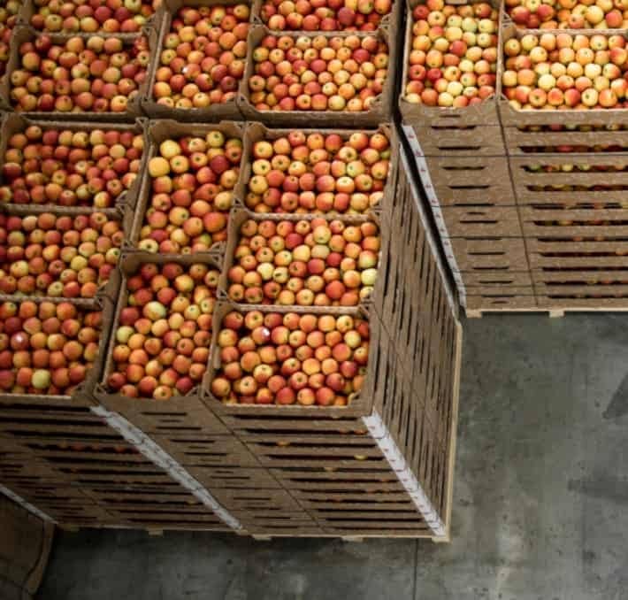 Overhead view of large wooden crates filled with apples stacked in a warehouse or storage facility.