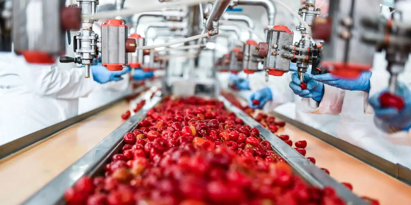 Industrielle Lebensmittelverarbeitungslinie mit Arbeitern in weißen Anzügen und blauen Handschuhen, die rote Kirschen auf einem Förderband sortieren, umgeben von automatisierten Maschinen.