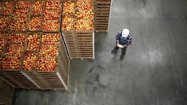 A worker in a hard hat stands next to large stacks of crates filled with apples in a warehouse, holding a clipboard.
