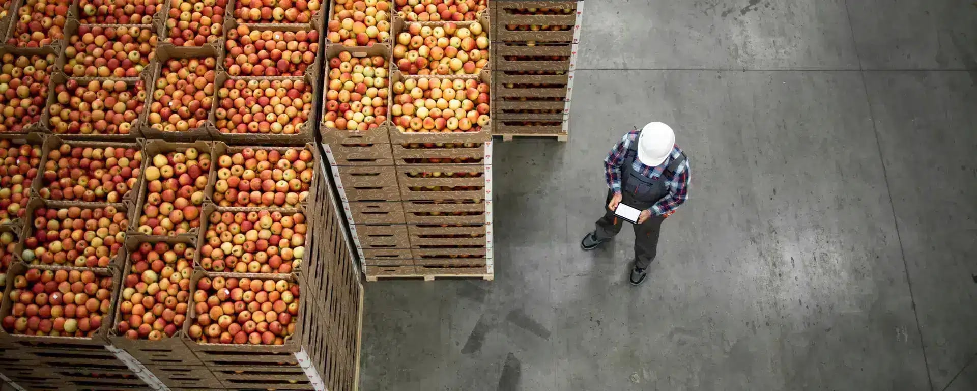 A worker in a hard hat stands next to large stacks of wooden crates filled with apples in a warehouse, viewing a digital tablet.
